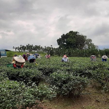 Dong Li Tea Homestay 루이수이 외부 사진